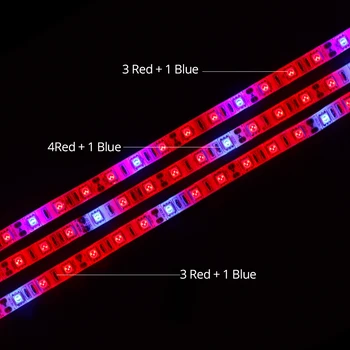 Spectru complet de 300 de Led-uri Fito Lămpi Lumini de 5 Metri 12V Impermeabil Fitolampy Pentru Semănat Plante cu efect de Seră Hidroponică