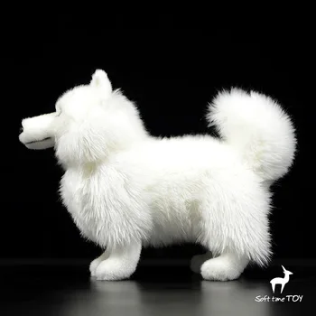 Cele mai noi animale împăiate câine alb păpușă jucărie moale Samoyed papusi model minunat pentru copii jucarii de cadouri de vacanță fetele de înaltă calitate