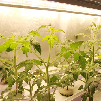 20buc/lot 120cm T8 Tub de LED-uri Cresc Lumini Bar Spectru Complet de Plante Fito Lampa pentru cultivare în sere răsaduri de legume cu efect de seră