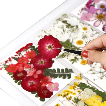Noi Flori Presate Uscat Crizantema Frunze Uscate de Plante Pentru Epoxidică Rășină Pandantiv Colier Bijuterii de Luare de Artizanat DIY Accesorii