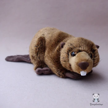 Jucărie de pluș Sălbatice Castor Drăguț Papusa Jucării pentru Copii de Vacanță Prezent Moale