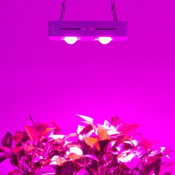 CF Crească 300W Versiune Mini COB LED-uri Cresc Light cu efect de Seră Hidroponică a Plantelor în Creștere Lampa cu Spectru Complet Înlocuiți de OZN-uri să Crească de Iluminat