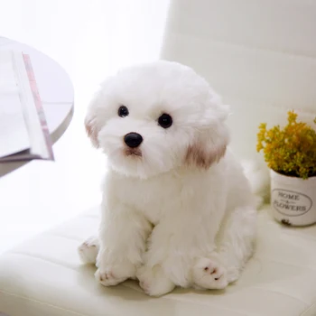 Simulare maltese Câine Jucărie de Pluș Umplute de Animale Super-Realiste de Înaltă Calitate Schnauzer Jucărie de Lux Decor Acasă iubitor de animale de Companie Cadou