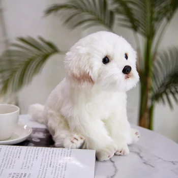 Simulare maltese Câine Jucărie de Pluș Umplute de Animale Super-Realiste de Înaltă Calitate Schnauzer Jucărie de Lux Decor Acasă iubitor de animale de Companie Cadou