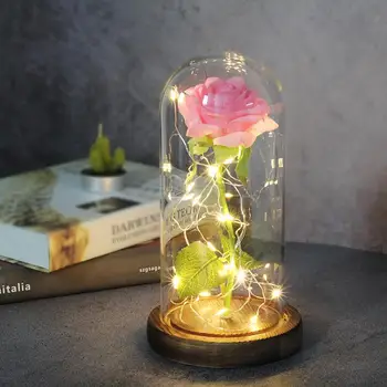 2020 Cadou de Ziua Îndrăgostiților Frumusete si ia Floare Trandafir În Cupolă de Sticlă Lampă cu Led-uri de Decorare cel Mai bun Cadou pentru Prietena