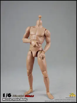 BD004 Umar Larg de sex Masculin 1/6 Scară de Acțiune Figura Jucarii Model Muscular Organismul Bărbaților 2.0 Model Despre 27cm Colecții