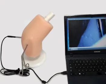 Artroscopia Simulator Antrenor Ortopedice A Genunchiului Artroscopului Predare Aparate
