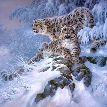 Diamant Pictura Tigru, Leopard de Zăpadă 5d Diy Mozaic Plin Pătrat Rotund Burghiu De Diamant Stras Daimond Broderie Imagini de Vânzare