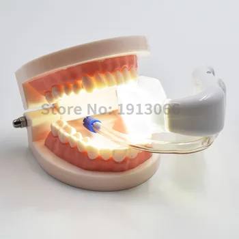Stomatologie echipamente lumina iluminator nelimitat Orală de Materiale și Echipamente Dentare orale lampa