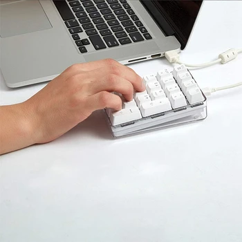 Mecanice Tastatura Numerică GATERON Maro Comutator cu Fir Gaming Tastatura Caz de Cristal Alb cu iluminare din spate de 21 de Taste Mini Tastatura Numpad