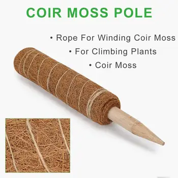 2 buc/set Alpinism Plante de nucă de Cocos Totem în condiții de Siguranță de Grădinărit Palmier de nucă de Cocos Stick Pentru Alpinism Plante de Viță de vie Și Liane Instrumente Auxiliare