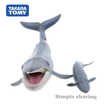 Takara Tomy ANIA Animal Advanture AL-11 Balena Albastra Rășină Educative pentru Copii Mini figurina Jucarie Fleac