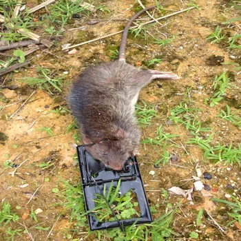 Capcane de vânătoare de Șoareci Capcane Mouse-ul Momeala Snap Rozătoare Prinzator de Soareci capcana mouse-ul Vânătoare de Șobolani Cușcă Singur Șoareci, Rozătoare capcana de iepure