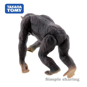 Takara Tomy Tomica Ania Aventură Animal Cimpanzeu Ca 14 Turnat Sub Presiune Rășină Model Kit Fierbinte Pop Jucarii Pentru Copii Amuzant Păpuși Magice