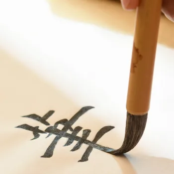 Caligrafie chineză Pen 3pcs/set de Lână de mai Multe Perie de Păr Pen Pictura in Acuarela de Colorat Caligrafie Perie Stilou Tinta China