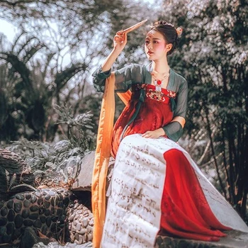 Hanfu Femei Chineze Tradiționale Brodate Printesa Rochie De Dans Oriental Stil Dinastiei Tang Vechi Zână De Dansuri Populare Costum