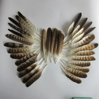 50pcs (1 set) rare vulturul alb penele Cozii lungimea de 15-33cm/6-14inch DIY pană de vultur ornament decor