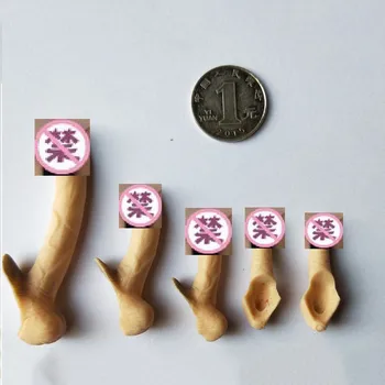 5pcs/set 1/6 scară Accesorii Genitale Masculine Piese din Silicon pentru Penis Model pentru 12Inches Jiaou Tbleague Acțiune Figura