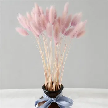 50 buc culoare roz uscate pampas flori de coada de iepure iarba buchete Lagurus Ovatus plante naturale acasă decor nunta buchete