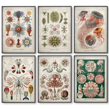 Creaturi Marine Epocă Poster Meduze, Corali, Alge Verzi Anemone De Mare Squirts Steaua De Mare Canvas Wall Art Print Panza Pictura