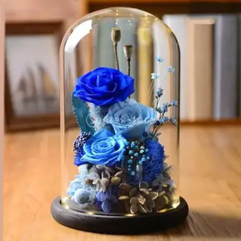 Geam Sticla Display Dom Cloche Bell Jar cu Baza din Lemn DIY Decorare Gradina Micro Flori Peisaj Suport Sticla Decor Acasă