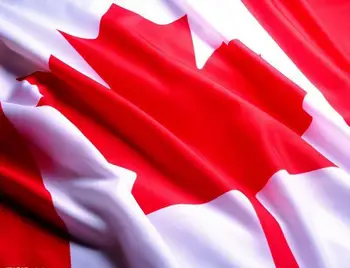 Oriflamme roșu canada 3x5 Picioarele Super-Poli Interioară în aer liber STEAG Canadian Țară 90x150cm Frunze de Arțar Banner de Craciun cadouri