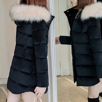Aur Catifea De Bumbac Căptușit Parka Femei Mijloc Și Stil Lung Jos Jacheta În 2020 Coreene Noi Subțire Cu Glugă De Blană De Vulpe Jos Haina De Iarna