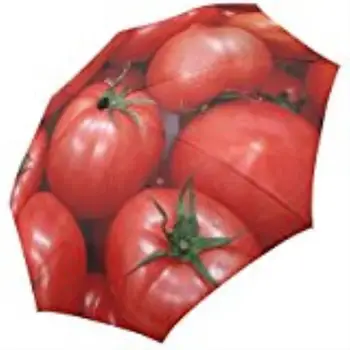 Rosii Pliere Umbrela de Soare/Ploaie Umbrela Anti-UV de Protecție pentru Femei