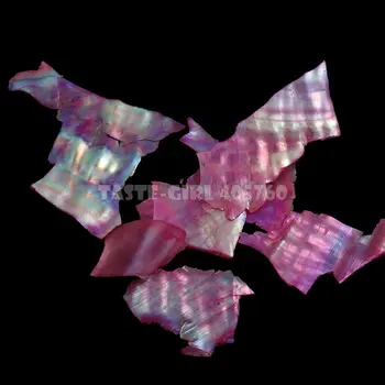 12 Culori 3D Abalone Naturale Sea Shell Fragmente Textura Unghii Paiete Decor Felie de BRICOLAJ Salon de Sfaturi
