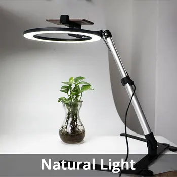 10 inch LED Selfie Inel de Lumina, Fotografie de Studio Foto Reglaj Umple de Lumină Inel cu Trepied pentru Smartphone deasupra suportului
