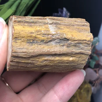 Naturale, lemn Pietrificat fossil original piatră brută Piatră de Cuarț de Cristal Mineral Specimen de Vindecare Reiki Decor acasă