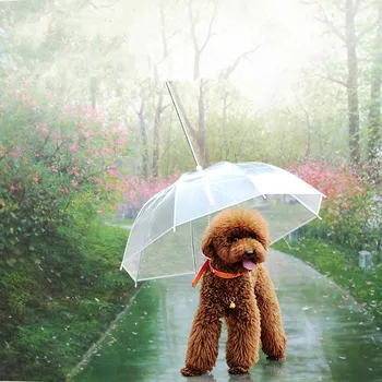 Animale de companie Umbrelă Drăguț Impermeabil Transparent Cățeluș Câine de Companie Umbrelă Pentru Exterior Ploaie de Călătorie Drumeții Păstrați animalele de Companie de Uscat în Ploaie, Zăpadă Umbrelă