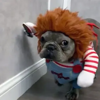 Moarte Papusa de Halloween Costume de Câine de Companie Amuzant Haine Reglabil Cosplay Îmbrăcăminte Set pentru Mediu pentru Câini de talie Mare Bulldog, Pug