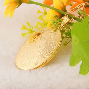 Vintage Lanț și Pandantiv Fotografie Titularul Oval Florale Colier de Aur