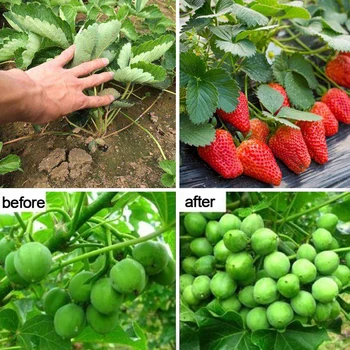 40g Paclobutrazol Bonsai regulatori de creștere a Plantelor Creștere Întârziată de Creștere Ajutor Gradina Îngrășământ Agricol Medicina