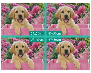 5D Diy Daimond Pictura Câine Drăguț de Flori&3D Diamond Tabloul Complet Rotund Strasuri Diamant Pictura Decor Broderie