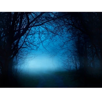 Halloween fotografie decoruri Infricosatoare pădure întunecată cerul de noapte scenă în aer liber negru fotografie de Fundal de Vinil, pânză studio elemente de recuzită