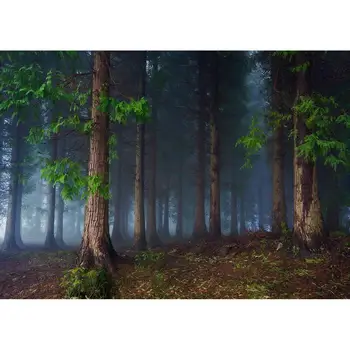 Pădurea Întunecată Fotografice Fondul de Calculator Tipărite Mândru Fundaluri Foto Studio pentru Copii Portret Photophone elemente de Recuzită