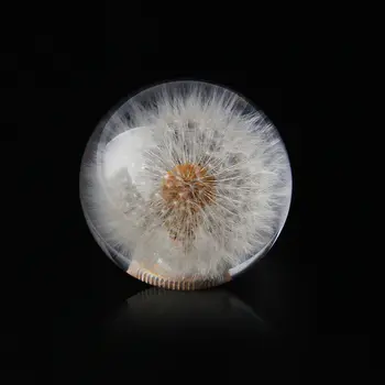 Universal 70MM Curse glob de Cristal Păpădie Flori Reale Schimbătorului de Viteze Cap Transparent DIY