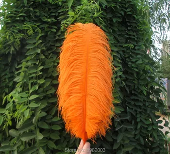 100 buc portocaliu pene de strut 45-50 cm / 18-20 cm din pene de strut nunta celebration decor