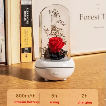 Veșnică Floare Parfum Lumina de Noapte Creative Mut Parfum Lampa Mini Ulei Esențial Lampa de Birou Dormitor Decor de Încărcare USB