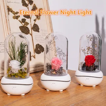 Veșnică Floare Parfum Lumina de Noapte Creative Mut Parfum Lampa Mini Ulei Esențial Lampa de Birou Dormitor Decor de Încărcare USB