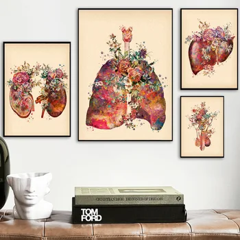 Flori Anatomia Creierului Inima Plamani Rinichi, Uter Nordic Postere Si Printuri De Arta De Perete Panza Pictura Pe Perete Imagini Pentru Medicul Decor