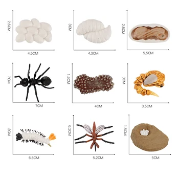 Simulare de Insecte Model de Jucării pentru copii, Copii, Animale de Acțiune Figura Ciclului de viață Modele Chook de Țânțari Figurina Educație Jucarie Cadou