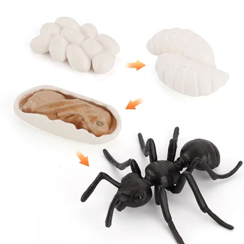 Simulare de Insecte Model de Jucării pentru copii, Copii, Animale de Acțiune Figura Ciclului de viață Modele Chook de Țânțari Figurina Educație Jucarie Cadou
