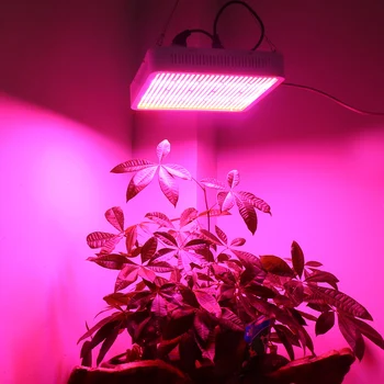 25W 300W 400W, 600W 800W 1000W 1200W LED-uri Cresc de Lumină întregul Spectru de Creștere Lampa Pentru Plante de Interior, Flori cu efect de Seră să Crească Cort