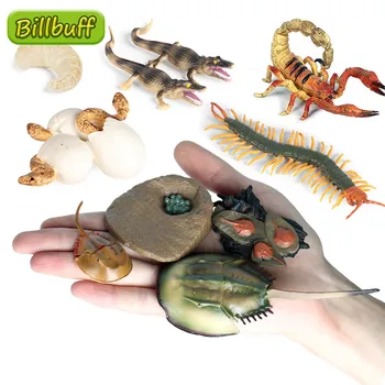4buc de Simulare de Animale Sălbatice ABS Centipede Horseshoe Crab Sarpe Model Cifre de Colectare Cunoaștere Jucarii Educative pentru Copii
