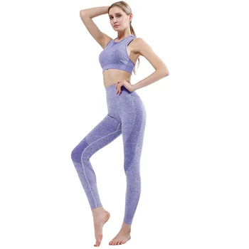 AF 2020 Nouă Femei fără Sudură Costum de Sport Yoga Set Quick-uscare Respirabil Sport Fitness Costum de Funcționare de Top și Jambiere Costume