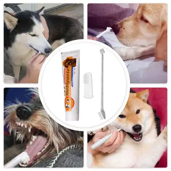 New sosire animale de Companie Îngrijire Orală Kit Pisică Câine Periuta de dinti Pasta de dinti Set Îmbunătăți animale de Companie Igiena Orala Gură de Curățare a Reduce Placa Dentară
