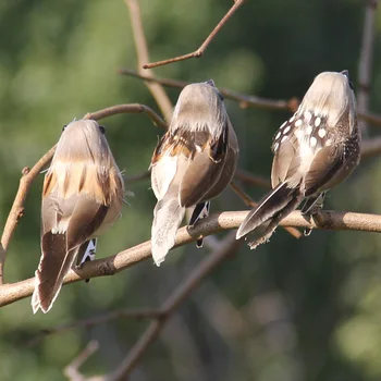 12PCS Decorare Pom de Crăciun Artificial Păsări Pene de Vrabie Cu Clipuri Spumă Ambarcațiuni Păsări Home Garden Party Decor Ornament